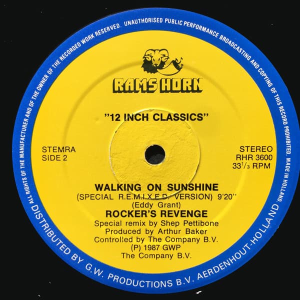 Walking On Sunshine image 4