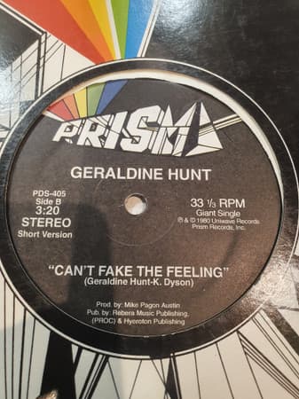 Can't Fake The Feeling image 2
