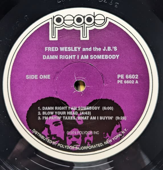 Damn Right I Am Somebody image 3
