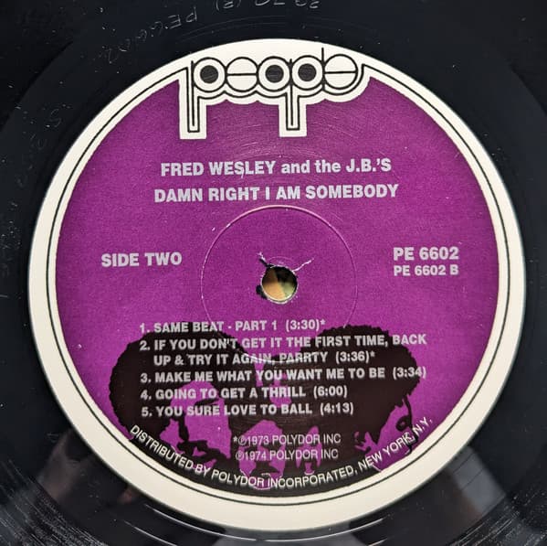 Damn Right I Am Somebody image 4