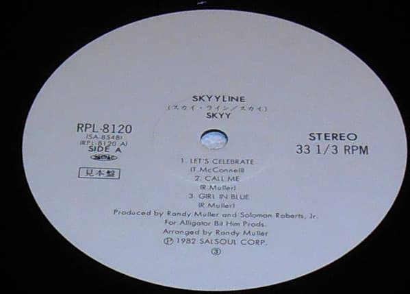 Skyy Line image 5